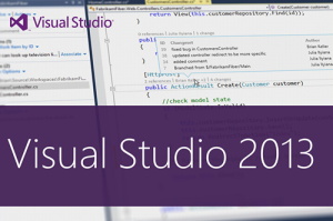 VS2013